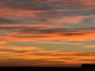 unharvested hemp round bales …  medicinal mushroom gro material, View more