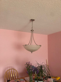Ceiling lights; house decor items;  Caps collection;  etc