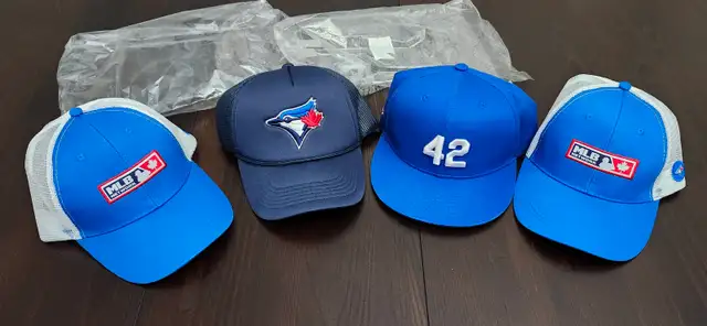 Vladimir Guerrero Jr Bobbleheads Bo Bichette Danny Jansen Jersey in Arts & Collectibles in Markham / York Region - Image 9