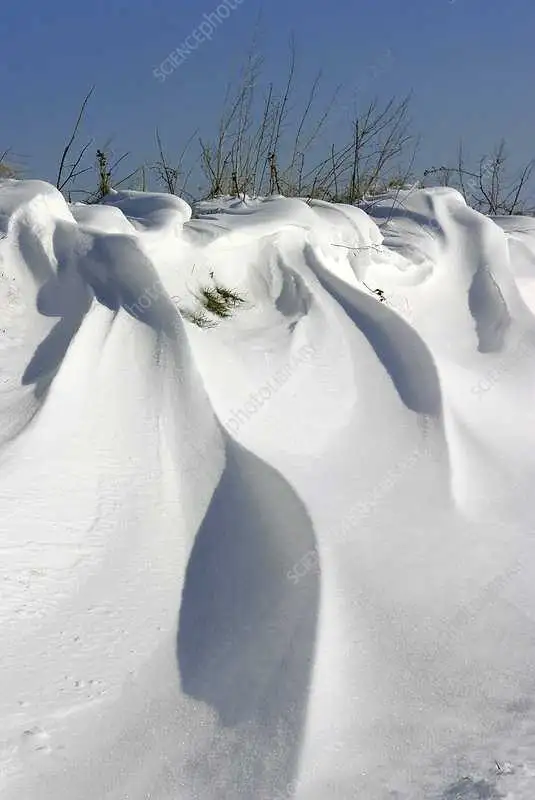 Snow B Gone