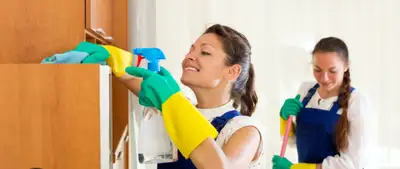 $17/HR Cleaner needed -  3 HRS 1BDRM  Yorkdale Mall area, View more