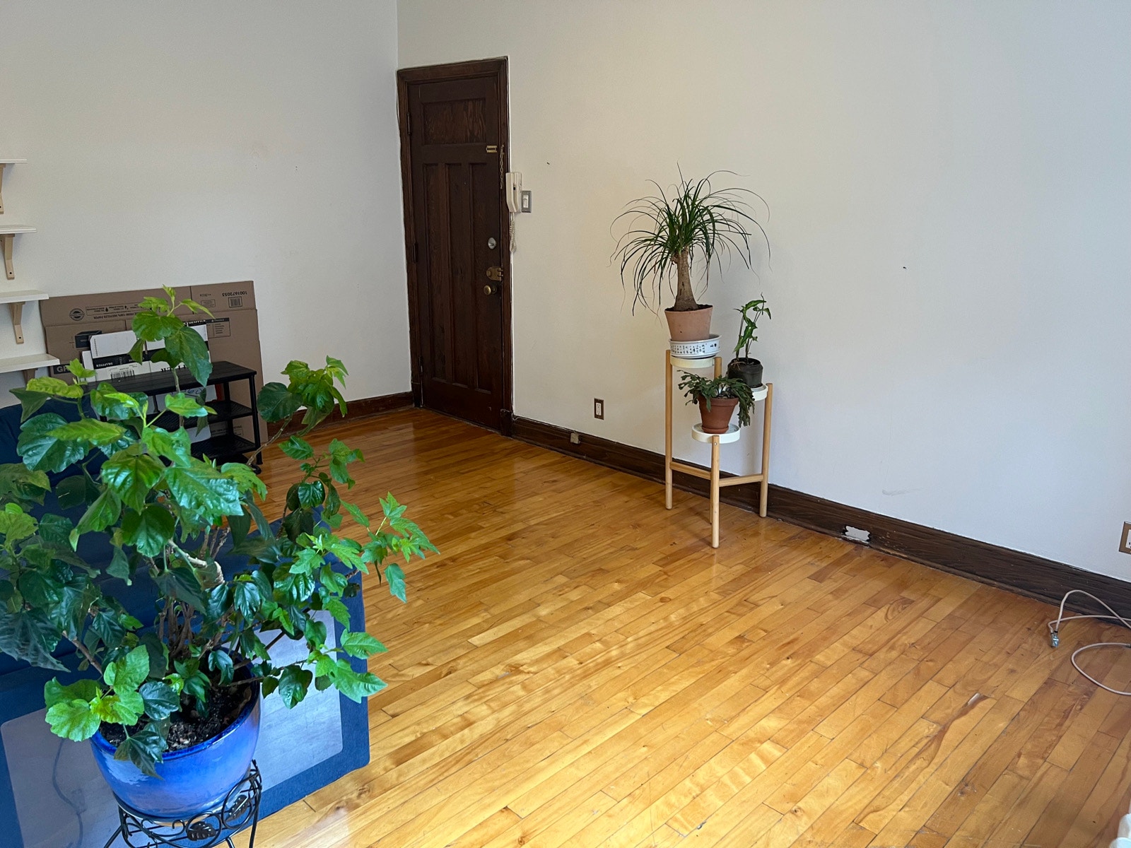 2019 Av de Marlowe — photo 2