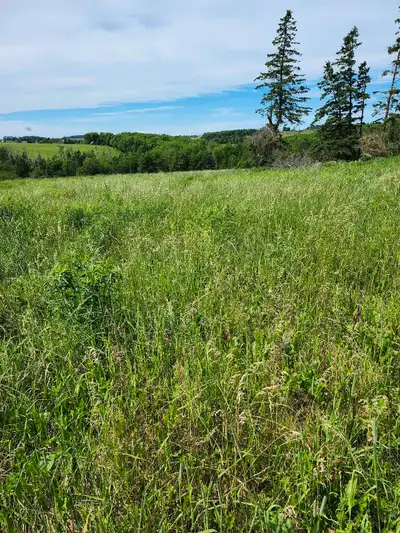 Standing hay for sale three different locations 70 acres 40 and 32 We also have hay baled if you are...