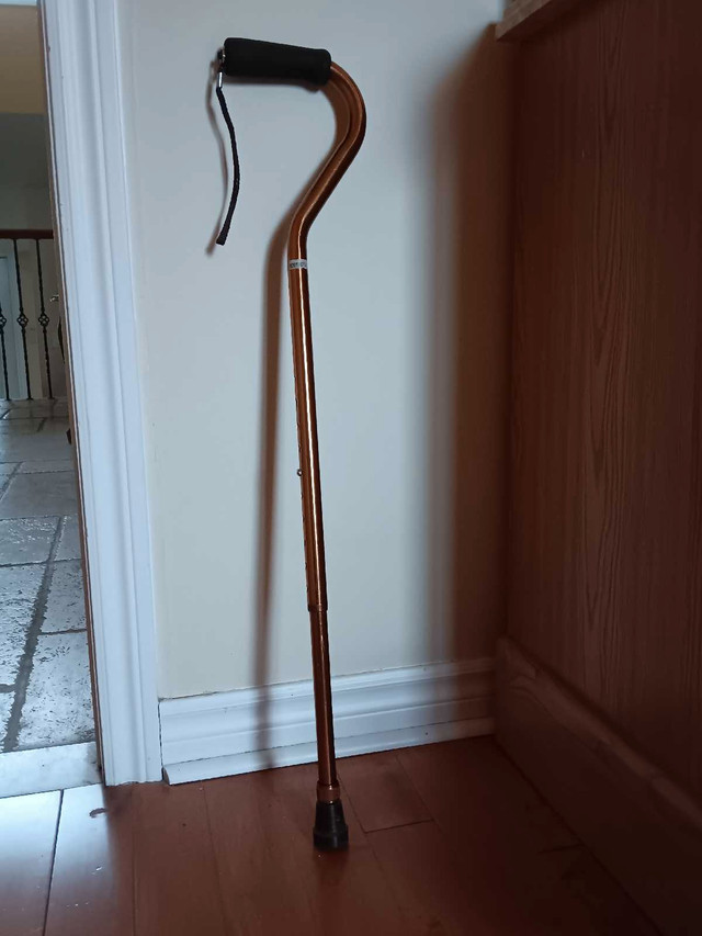 Walking cane dans Santé et besoins spéciaux  à Laval/Rive Nord