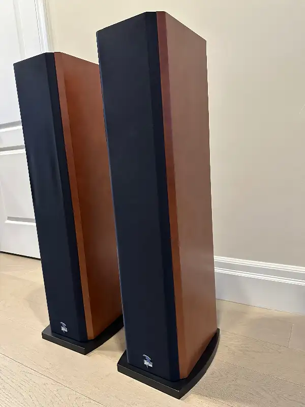 Speaker in Speakers in Markham / York Region - Image 3