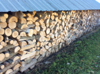 Dried cut split seasoned fire wood