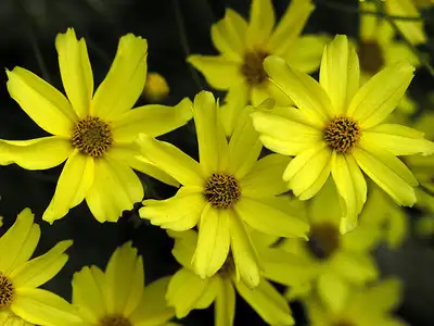 Garden helper required, View more
