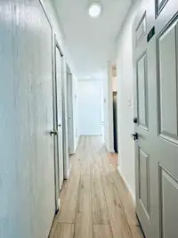1 Bedroom newly renovated apartment unit for rent