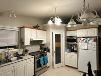 Kitchen Pantry door