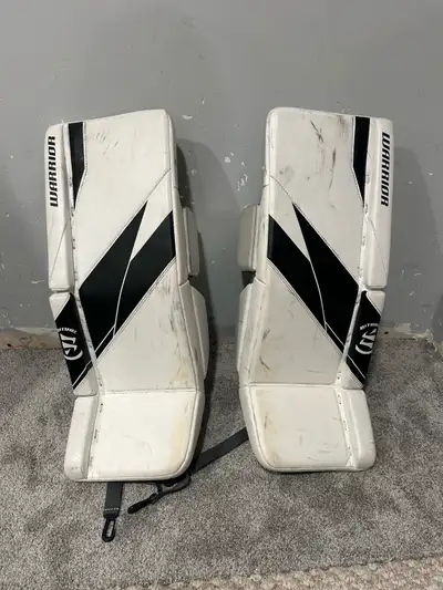 goalie pads, View more