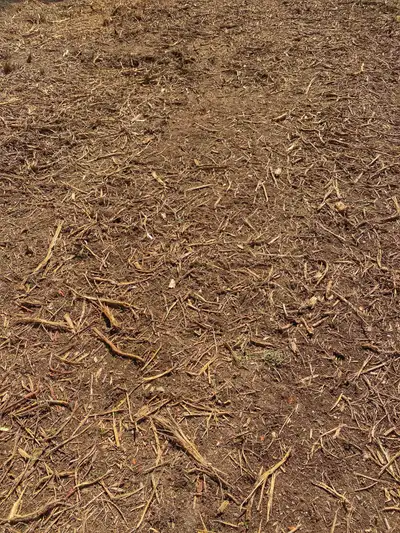 ⬇️ •Services• Offering land clearing, forestry mulching services & property development! •Environmen...