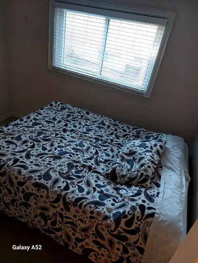 Room for rent in house/ Bayview Ave
