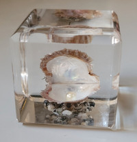 Vintage 1970's Clear Lucite Encased European Clam Shell & Pearl