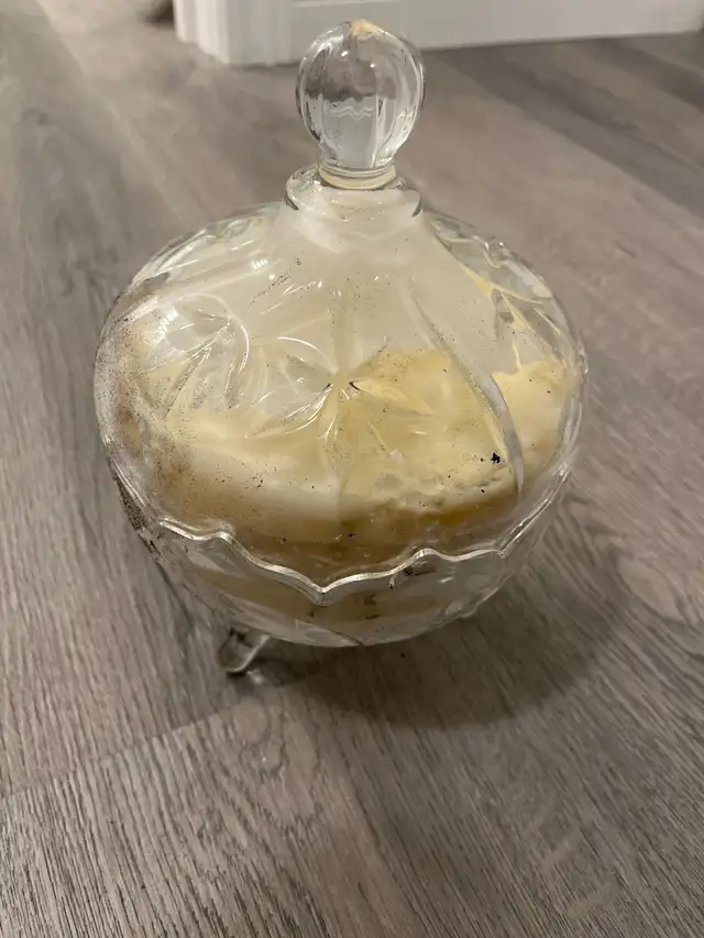 Glass Candy Dish64170261861506120