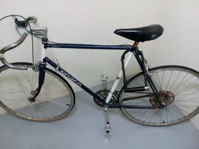 Bike works . Rear wheel has a bit of a wobble.. Seat post is a liitle too loose in the frame. No key...