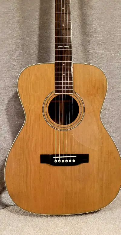 Cort Earth 200 GC Acoustic Guitar, View more