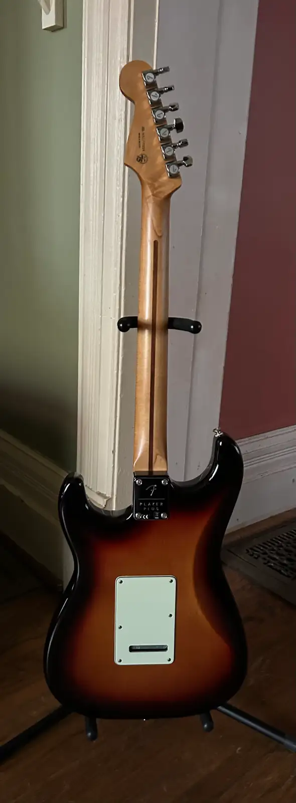 Fender Player Plus Stratocaster 442863428295075844
