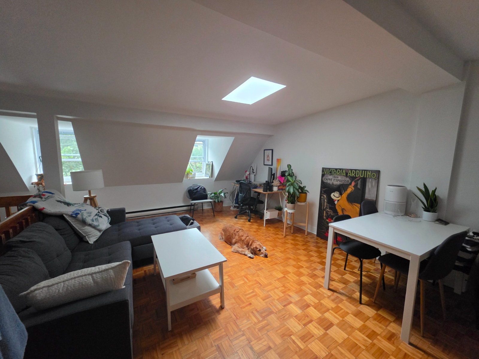 Grand 5 ½ en duplex - Ville-Marie (Montréal) - Animaux acceptés — photo 1