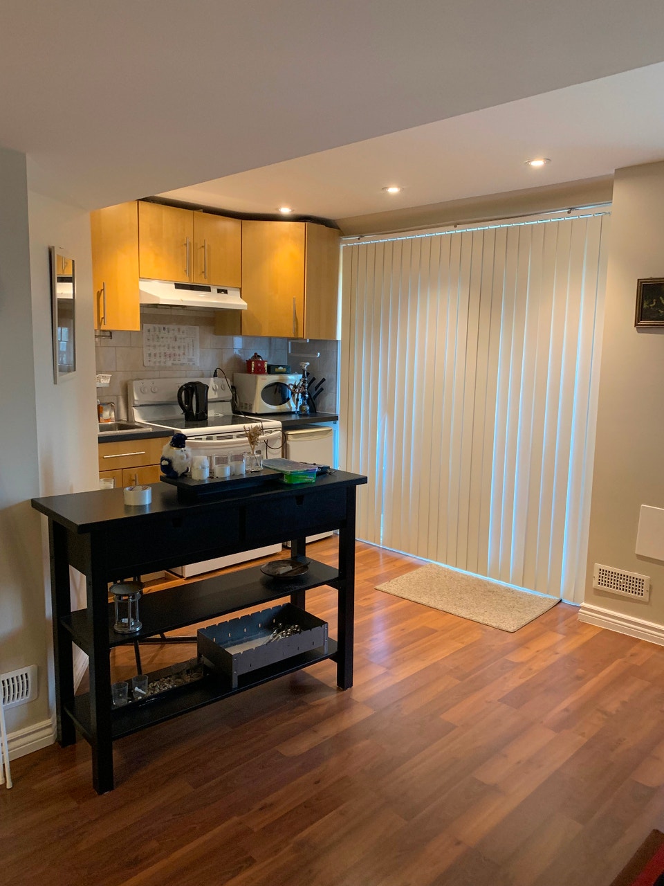 Walkout Basement for Rent 2