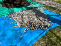 FREE LANDSCAPING ROCKS – mixed granite
