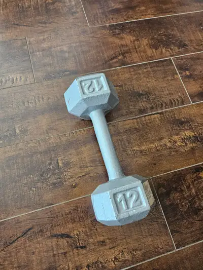 LIKE NEW 12LB DUMBBELL (SINGLE), View more