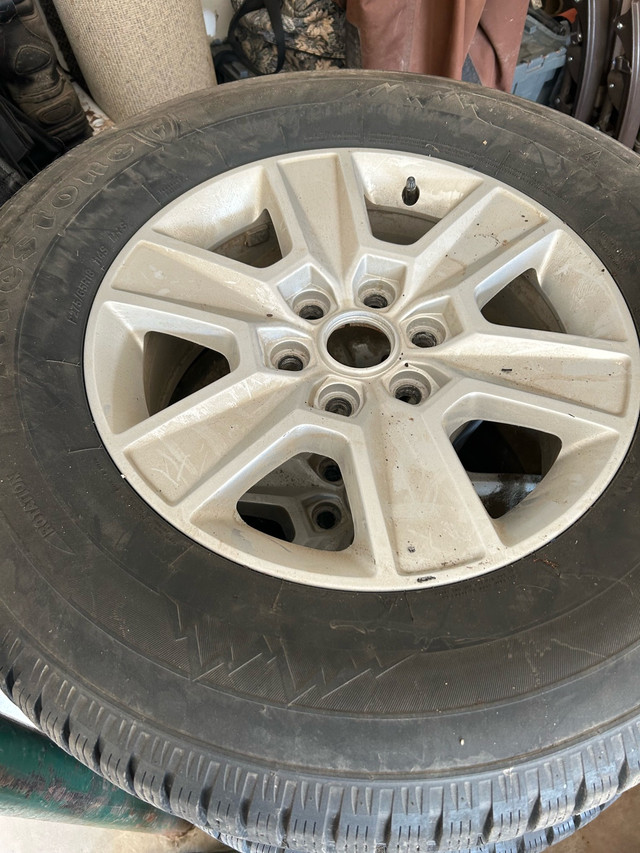 Winter Tires from 2022 Ford F150 in Tires & Rims in Trenton