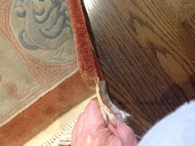 Rugs in Rugs, Carpets & Runners in Markham / York Region - Image 2