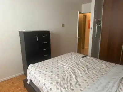 room for rent