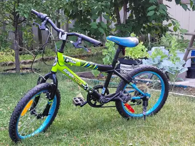 Bicycle 18 inch - Kids