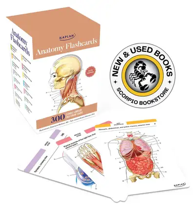 Anatomy Flashcards: 300 Flashcards with Anatomically Precise Drawings and Exhaustive Descriptions by...