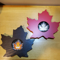 Canadian Maple Leaf $20 One Once Coins