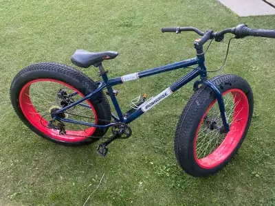 Fat tire bike $100