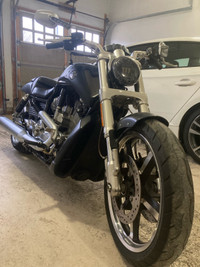 Harley Davidson Vrod muscle 
