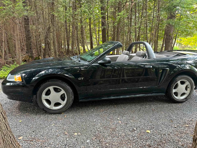 Ford mustang 2000 dans Autos et camions  à Sherbrooke - Image 2