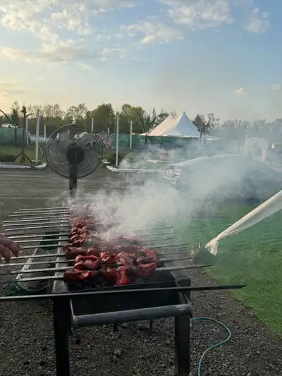 Hiring Waitresses, View more