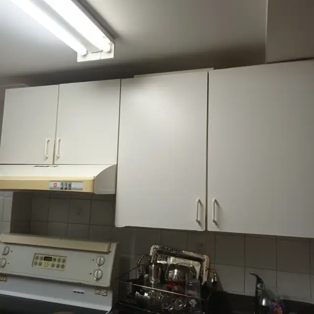 Basement apartment for rent, no parking, female only in Long Term Rentals in Markham / York Region - Image 11