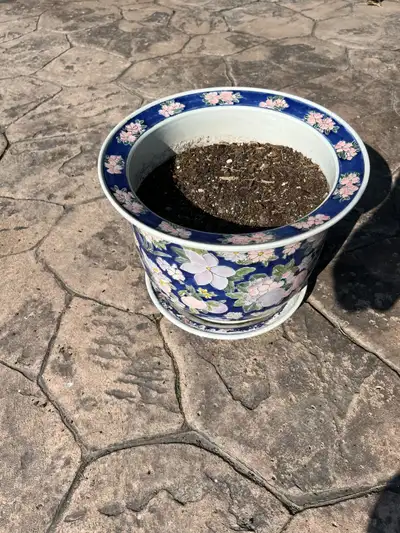 Decorative Flowered Planting Pot, View more