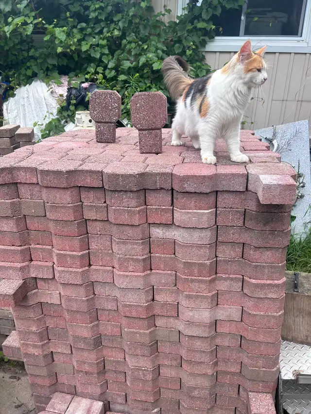 •Cheap BRICKS! Keyhole Pattern Unistones -• ONLY $1 each Brick • in Outdoor Décor in Owen Sound - Image 7