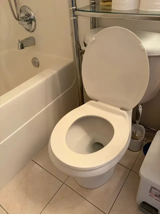 Cleaning Services591441148290672648