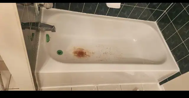 Bathtub reglazing 250$592355200000993283