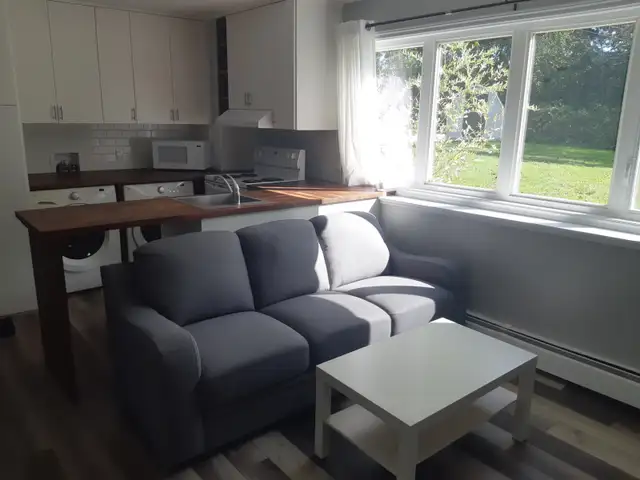 Newly Renovated One-Bedroom Apartment for Rent (Max 2 persons) in Long Term Rentals in Charlottetown - Image 7
