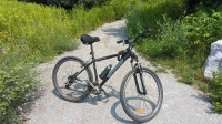 29” Unisex Mountain Bike