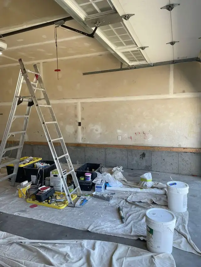 Professional painter 63013091689217122