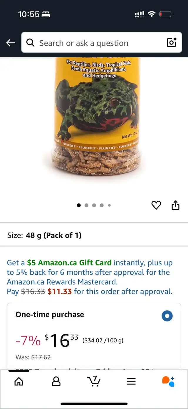 mealworms in Other in City of Toronto - Image 4