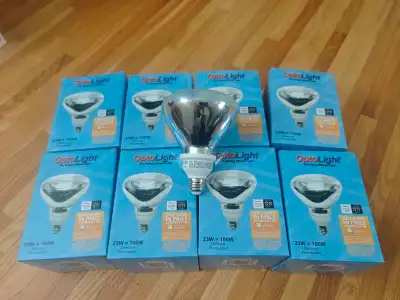 Opto light bulb (price in description), View more