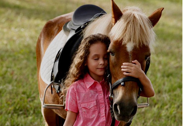 Pony Rides  in Classes & Lessons in Leamington