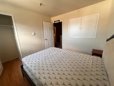 Furnished room in a 2 bedrooms 1.5 bathrooms in Clayton Park area. $950 everything included, close t...