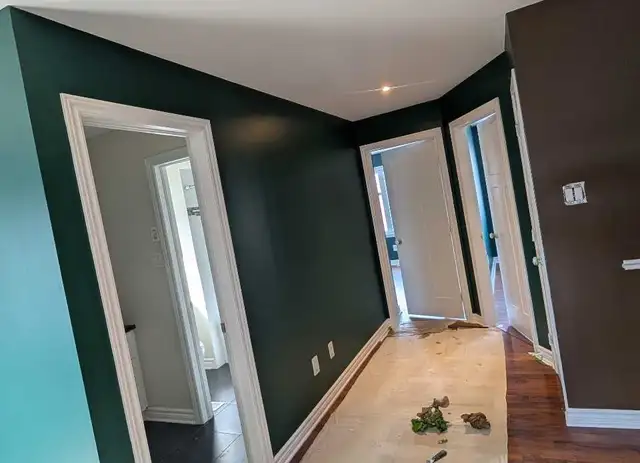 PROFESSIONAL OTTAWA PAINTER!! GREAT PRICING!! 613-262-3721