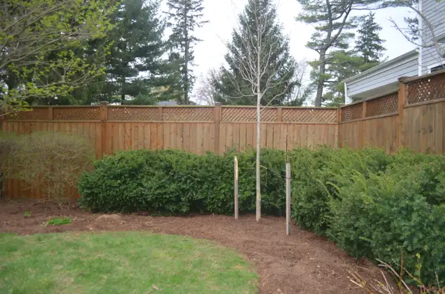 Tree Planting in Excavation, Demolition & Waterproofing in Oakville / Halton Region - Image 2