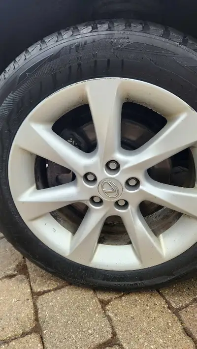 Winter tires on F-Sport Lexus rims. They were on a 2013 RX350 - 235-55R19